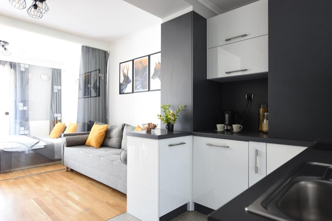 Apartament Przemily - Studio Teczowe Wzgorze Wisła Zewnętrze zdjęcie